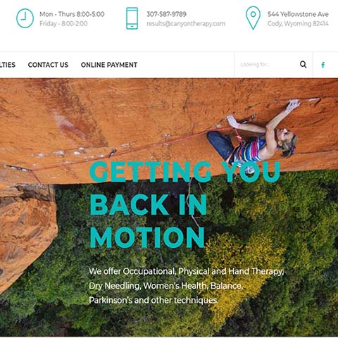 web development canyon therapy